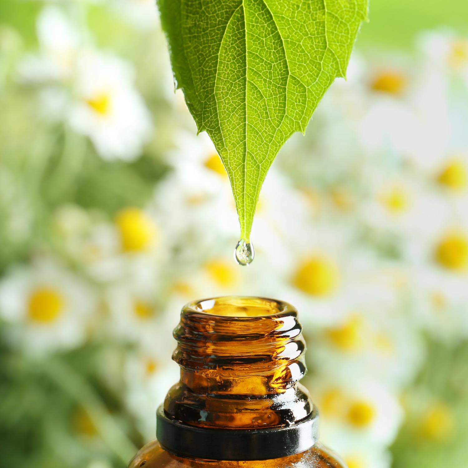 Aromathérapie, Pharmacie des Letchis, Étang-Salé
